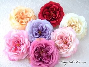 iI  ylCzRT[W wAANZT[  o AC-38 VNt[ A[gt[   wAANZ  w Ǝ   l