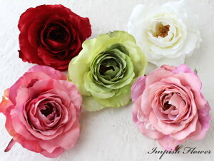 iI  RT[W wAANZT[ o AC-56 VNt[ A[gt[    w Ǝ   l@tH[}