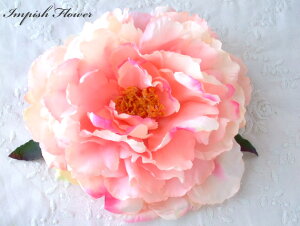 iI  ylCzRT[W wAANZT[ sIj[ AC-98 VNt[   wAANZ  w Ǝ   l