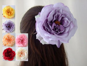 iI wANbv _bJ[ o HACP-05 VNt[   wAANZ@΂Nbv wAANZT[@wAs ߁@RT[W 