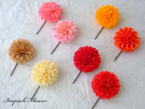 iI  ylCzyVFzwAANZT[ } HAC-29 wAs VNt[    wAANZ  w Ǝ   l