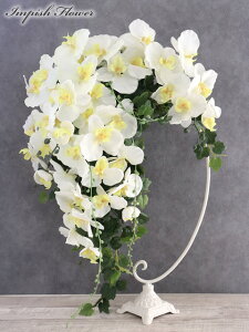  CeA Ӓ JXj A[eBtBVt[ 傫 t[AWg