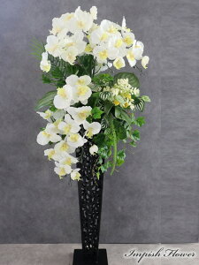  CeA 傫 Ӓ A[gt[ JXj AWg X^h