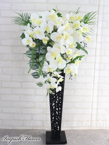  X^h 傫 Ӓ A[gt[ JXj AWg X^h