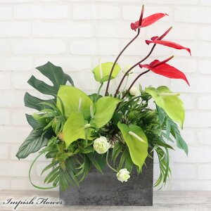  t[AWg CeA JXj ^ 傫  A[eBtBVt[ 