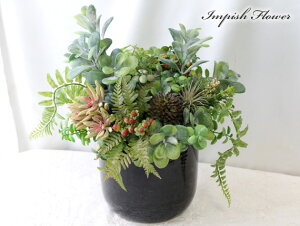  CeA O[ A tFCNO[ lC AWg P-66