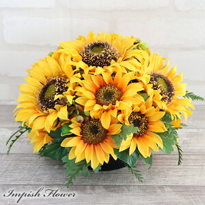 Ђ܂  CeA  AWg t[AWg 