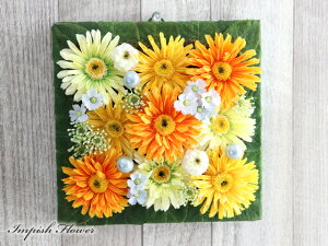  Ǌ| [X  CeA t[[X A[eBtBVt[ 킢