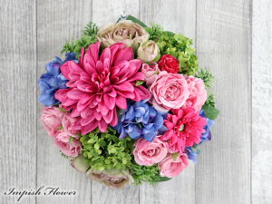  [X Ǌ| t[[X CeA t[AWg 킢