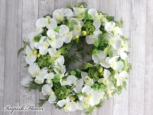 [X    Ǌ| W-478 53cm A[gt[@VNt[  Ӓ