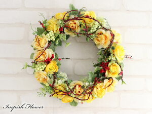 [X   F t[[X t[AWg Ǌ|