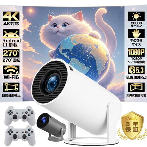 vWFN^[ y { ƒp V䓊e ^ 270x] wi-fi6 Android TV11 `␳ Xs[J[ Z HDMI R l炵 z[VA^[