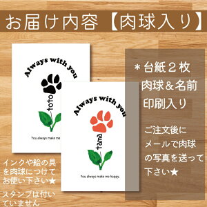 yԗDǃVbvܓXzA[g   ̎q   L ˂ 䎆 ̎qV[Y ^ by 䎆  }`[Y gCv[h ` Č ̎qObY ybg