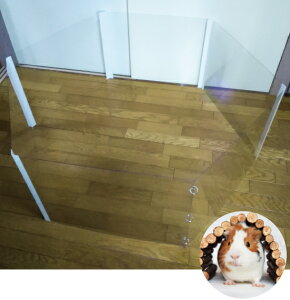 bgEnlY~ T[N ybgT[N ybgtFX  Zp`   |̎