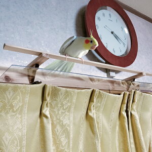 J[eh~pƂ܂؁i^E^pjƂ܂ CR   J[e[