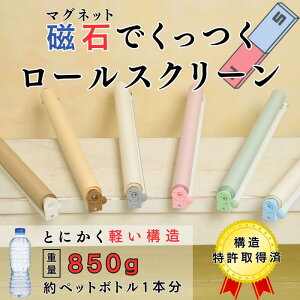 [XN[y31cm~130cm Ήzyvi^CvjzfM  ՔM ς [J[e Ԏd؂ ډB ߂ OK Ռ ̌ n  k   