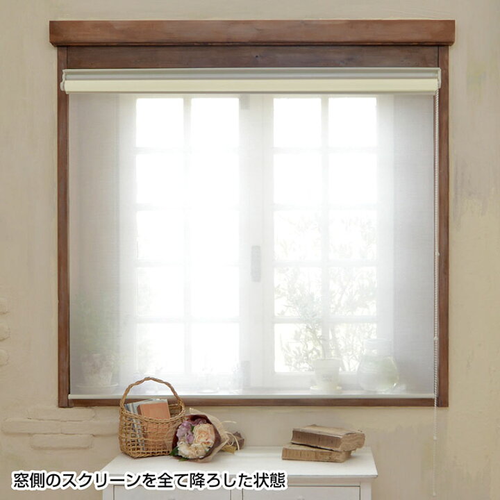 楽天市場】ダブル ロールスクリーン セミオーダー プル タイプ【幅40 