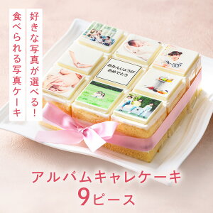 AoLP[L 9s[X 15cm×15cm ʐ^P[L  ʐ^ vg CXg v[g P[L  AoP[L a  o[Xf[P[L v[g o[Xf[ i|I