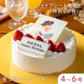 生クリームフォトケーキ ケーキ 4号 5号 6号 送料無料 写真 プリント イラスト プレート ケーキ 印刷 アルバムケーキ 誕生日 バースデーケーキ プレゼント バースデー 父の日 ナポレオン 冷凍 ギフト 記念日 贈り物