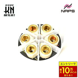 ＼最大10万ポイント当たる／ KN企画 DR.PULLEY ドクタープーリー 異型ウエイトローラー 16×13 DPSR1613 ウエイトローラー プーリーセッティング スクーター駆動系 CVTチューニング スクーターカスタム 駆動系パーツ ローラー交換 セッティングパーツ バイク オートバイ 原付