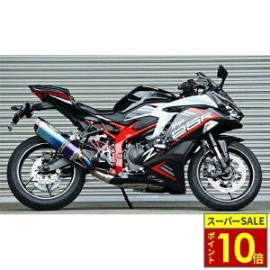 �_�|�C���g10�{�^ NASSERT-EvoII �u���[�`�^���T�C�����T�[ Ninja ZX-25R