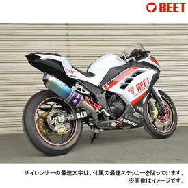 BEETJAPAN NASSERT R Evolution Type II JP250用 ステンレスレーシングマフラー Ninja250