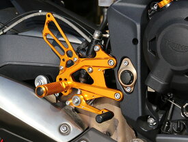 BabyFace Street Triple PERFORMANCE STEP KIT バックステップ