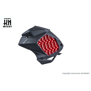 KOSO WG[^[Jo[yVOiXgRYPHUS(6^)/BWS125(3^)/NMAX125/155(2^/V2)/X FORCEz