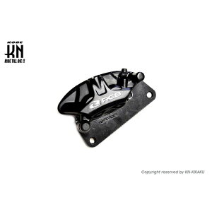 KN RCB ALp[yNMAX125/155z2POT/S3modelyubNz