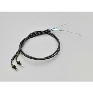 DAYTONA �f�C�g�i �V���[�g�X���b�g���P�[�u�� SR400FI 01-21 �u���b�N�A�E�^�[