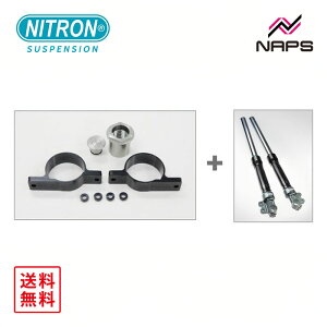 iCg NITRON tgtH[N NTF43CR2{zC[Lbg JTL ZRX1200DAEG