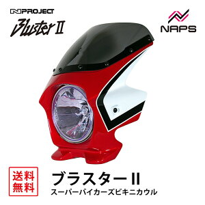 BLUSTER 2 uX^[2 X[p[oCJ[YrLjJE z_ CB750 (RC42) 04 LfBuCWObh/zCg O JE Ԏp