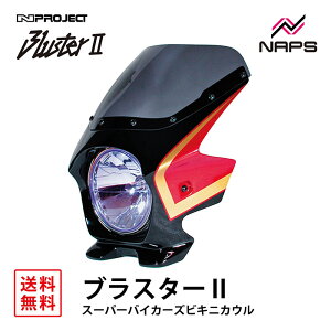 BLUSTER 2 uX^[2 X[p[oCJ[YrLjJE z_ CB750 (RC42) 07 Ot@CgubN/bh O JE Ԏp