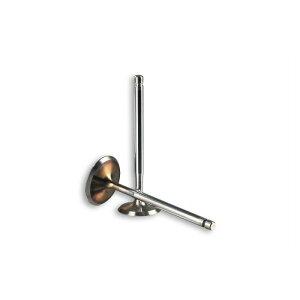 MALLOSSI }bV 4ST ou FORZA250 X