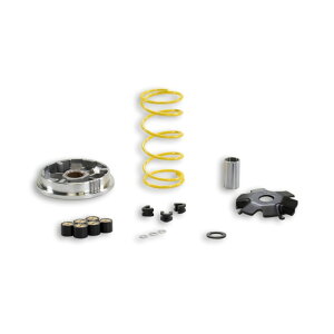 MALLOSSI }bV }`oG^[ AhXV100 CA13