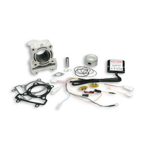 MALLOSSI }bV A~{AAbvLbg 183cc S-MAX(155cc)/}WFXeBS