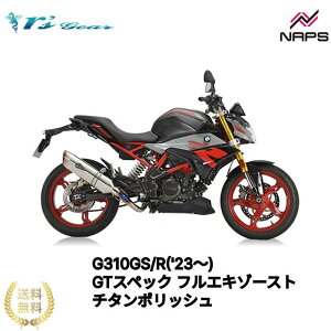 A[YMA G310GS/R(f23`) GTXybN tGL][Xg }t[ `^|bV {Fؕi ԌΉ rsgear r'sgear