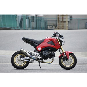 OVER Racing I[o[[VO GP-PERFORMANCE RS-R tGL][Xg}t[ (t`^) GROM 13-15 I[@[[VO