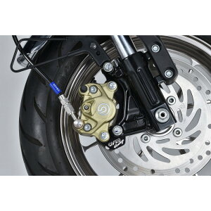 OVER Racing I[o[[VO FLp[T|[g u{2P(Jj) OVER×SUNSTARp ubN MONKEY125 18-20 I[@[[VO