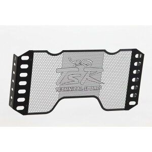 TECHNICAL SPORTS RACING eNjJX|[c[VO TSR WG[^[RAK[h Type-A ubN CB1300SF(SC54/03-)/SB(05-)