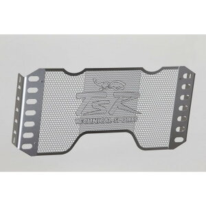 TECHNICAL SPORTS RACING eNjJX|[c[VO TSR WG[^[RAK[h Type-A Vo[ CB1300SF(SC54/03-)/SB(05-)