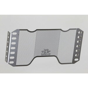 TECHNICAL SPORTS RACING eNjJX|[c[VO TSR WG[^[RAK[h Type-B Vo[ CB1300SF(SC54/03-)/SB(05-)