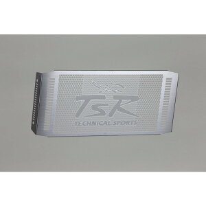 TECHNICAL SPORTS RACING eNjJX|[c[VO TSR WG[^[RAK[h Type-A Vo[ CB400SF(NC42)