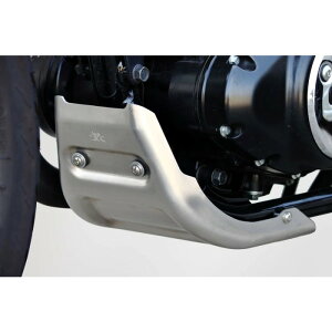 TECHNICAL SPORTS RACING eNjJX|[c[VO TSR A_[K[h GB350S21- / GB350 23- (2BL/8BL-NC59)
