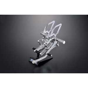 TECHNICAL SPORTS RACING eNjJX|[c[VO TSR XebvLbg 4|WV Vo[ CBR250RR(M51/17-19)