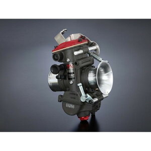 YOSHIMURA V MIKUNI TMR-MJN28Lu^[ TW200
