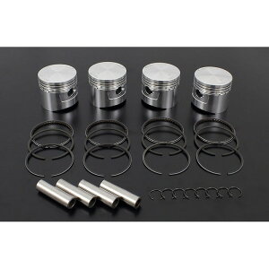 PMC �s�[�G���V�[ �L���X�e�B���O�s�X�g���L�b�g CB750K0-K6