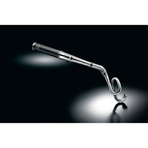 SPj XyVp[c^_I PURESPORT tGL][Xg}t[ Carbon CT125n^[Ju (JA55)