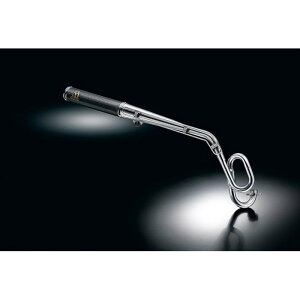 SPj XyVp[c^_I PURESPORT tGL][Xg}t[ Carbon CT125 n^[Ju 23-