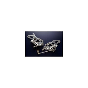 MORIWAKI ENGINEERING �������L�G���W�j�A�����O �o�b�N�X�e�b�v�L�b�g VTR1000F �S�N��